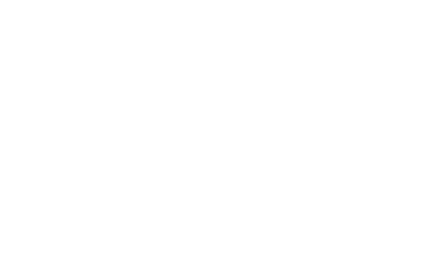 The Action Party page